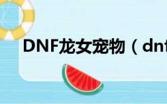 DNF龙女宠物（dnf宠物狂战赤血龙女）