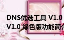 DNS优选工具 V1.0 绿色版（DNS优选工具 V1.0 绿色版功能简介）