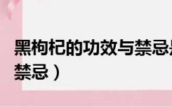 黑枸杞的功效与禁忌是什么（黑枸杞的功效与禁忌）