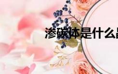 渗碳体是什么晶格（渗碳体）