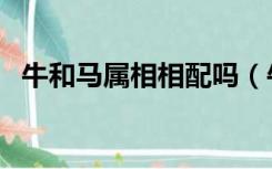 牛和马属相相配吗（牛和马属相是否相配）