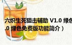 六炽生死狙击辅助 V1.0 绿色免费版（六炽生死狙击辅助 V1.0 绿色免费版功能简介）