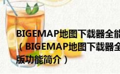 BIGEMAP地图下载器全能版破解版 V30.0.0.3 免授权码版（BIGEMAP地图下载器全能版破解版 V30.0.0.3 免授权码版功能简介）