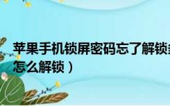 苹果手机锁屏密码忘了解锁多少钱（苹果手机锁屏密码忘了怎么解锁）