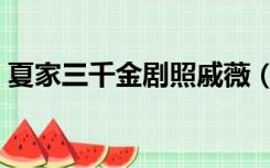 夏家三千金剧照戚薇（夏家三千金戚薇吻戏）