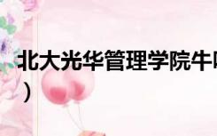 北大光华管理学院牛吗（北大光华管理有多牛）