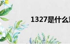 1327是什么意思（1327）
