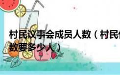 村民议事会成员人数（村民代表会议讨论决定的会议应到人数要多少人）