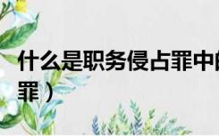 什么是职务侵占罪中的侵吞（什么是职务侵占罪）