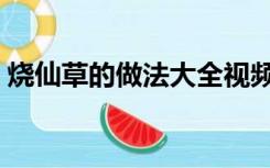 烧仙草的做法大全视频（烧仙草的做法大全）