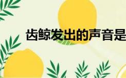 齿鲸发出的声音是怎么样的?（齿鲸）