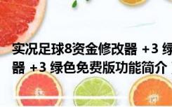 实况足球8资金修改器 +3 绿色免费版（实况足球8资金修改器 +3 绿色免费版功能简介）
