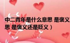 中二青年是什么意思 是褒义还是贬义呢（中二青年是什么意思 是褒义还是贬义）