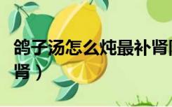 鸽子汤怎么炖最补肾阴虚（鸽子汤怎么炖最补肾）