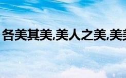 各美其美,美人之美,美美与共,天下大同的意思