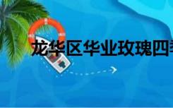 龙华区华业玫瑰四季（华业玫瑰四季）