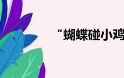 “蝴蝶碰小鸡”是什么意思