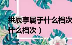 拱辰享属于什么档次45到50岁（拱辰享属于什么档次）