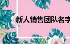 新人销售团队名字（销售团队名字）