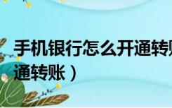 手机银行怎么开通转账权限（手机银行怎么开通转账）