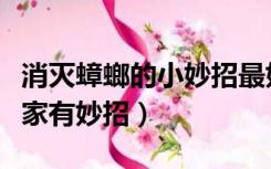 消灭蟑螂的小妙招最好的办法（如何消灭蟑螂家有妙招）