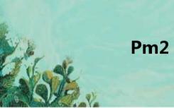 Pm2 5直径