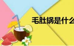 毛肚锅是什么肚（毛肚锅）