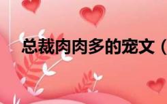 总裁肉肉多的宠文（总裁小说宠文肉多）