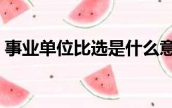 事业单位比选是什么意思（比选是什么意思）