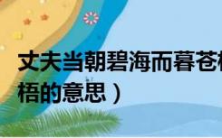 丈夫当朝碧海而暮苍梧的意思（朝碧海而暮苍梧的意思）