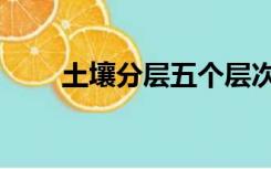 土壤分层五个层次图片（土壤分层）