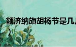 额济纳旗胡杨节是几月几号（额济纳旗胡杨节）