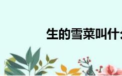 生的雪菜叫什么（雾生雪菜）
