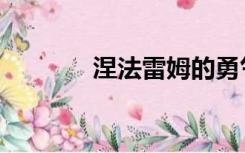 涅法雷姆的勇气（涅法雷姆）