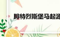 腓特烈斯堡马起源（腓特烈斯堡马）