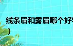 线条眉和雾眉哪个好学（线条眉和雾眉哪个好）
