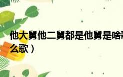 他大舅他二舅都是他舅是啥歌（他大舅他二舅都是他舅是什么歌）