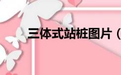 三体式站桩图片（三体式站桩图解）