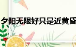 夕阳无限好只是近黄昏的哲理是时间得一维性