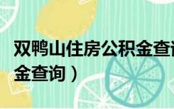 双鸭山住房公积金查询电话（双鸭山住房公积金查询）