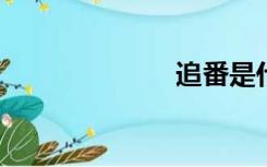 追番是什么意思