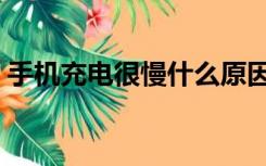手机充电很慢什么原因导致（手机充电很慢）