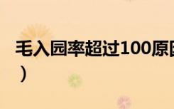 毛入园率超过100原因（毛入园率是什么意思）