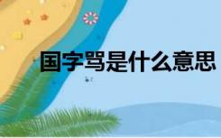 国字骂是什么意思（国骂是什么意思）