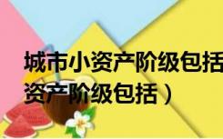 城市小资产阶级包括以下哪些群体?（城市小资产阶级包括）