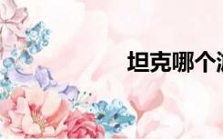 坦克哪个游戏好玩？