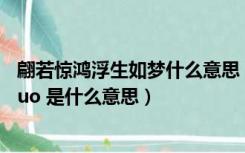 翩若惊鸿浮生如梦什么意思（ldquo 惊鸿一瞥浮生若梦 rdquo 是什么意思）