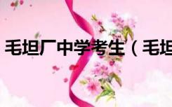 毛坦厂中学考生（毛坦厂中学高考杀人事件）