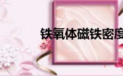 铁氧体磁铁密度（铁氧体磁铁）