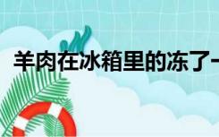 羊肉在冰箱里的冻了一年可以吃吗有营养吗